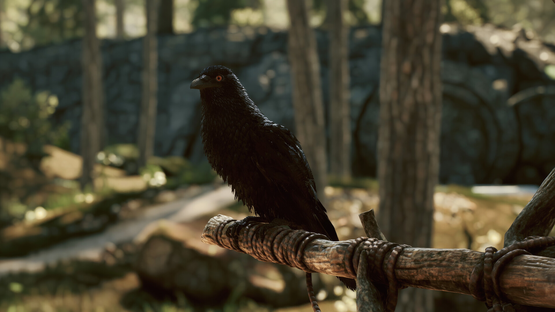 Close-up of a black raven with red eyes perched on a lashed wooden staff in the forest.